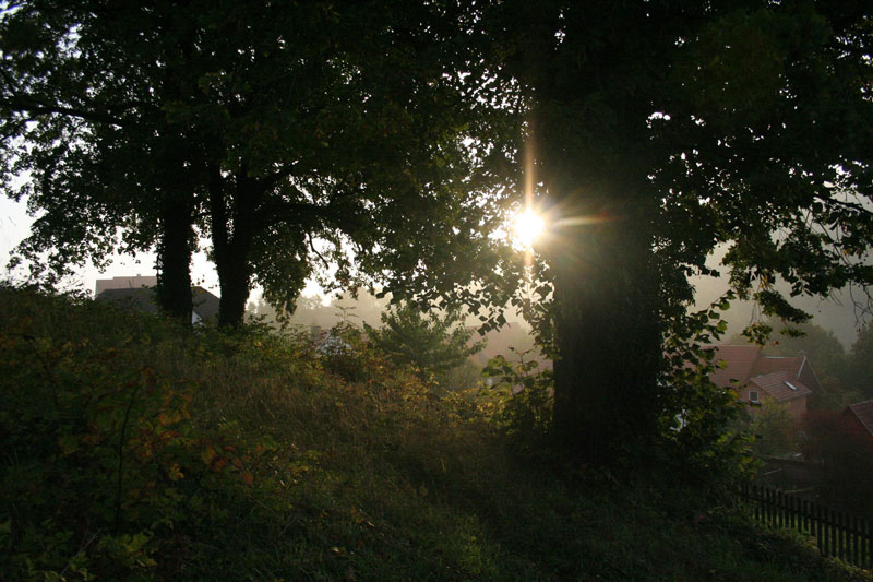 klausenhof-morgenpirsch.jpg